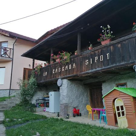Agropensiune La cascada Sipot Merisor Esterno foto