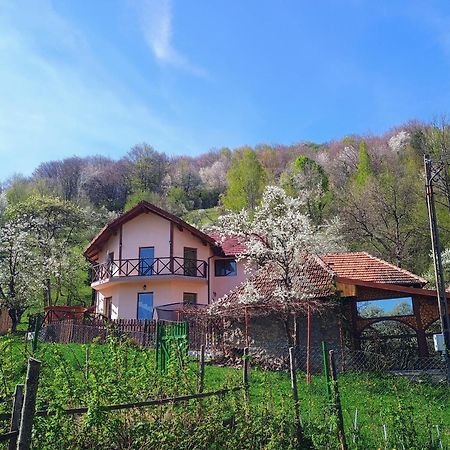 Agropensiune La cascada Sipot Merisor Esterno foto