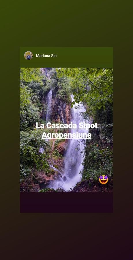 Agropensiune La cascada Sipot Merisor Esterno foto