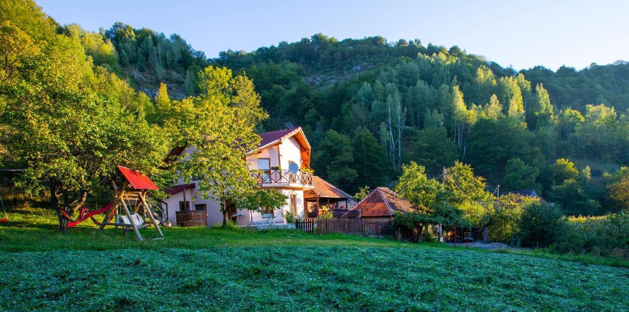 Agropensiune La cascada Sipot Merisor Esterno foto