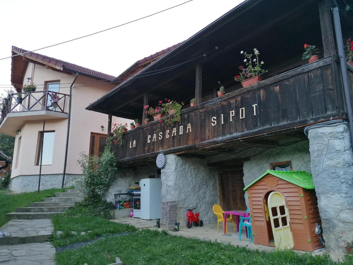 Agropensiune La cascada Sipot Merisor Esterno foto