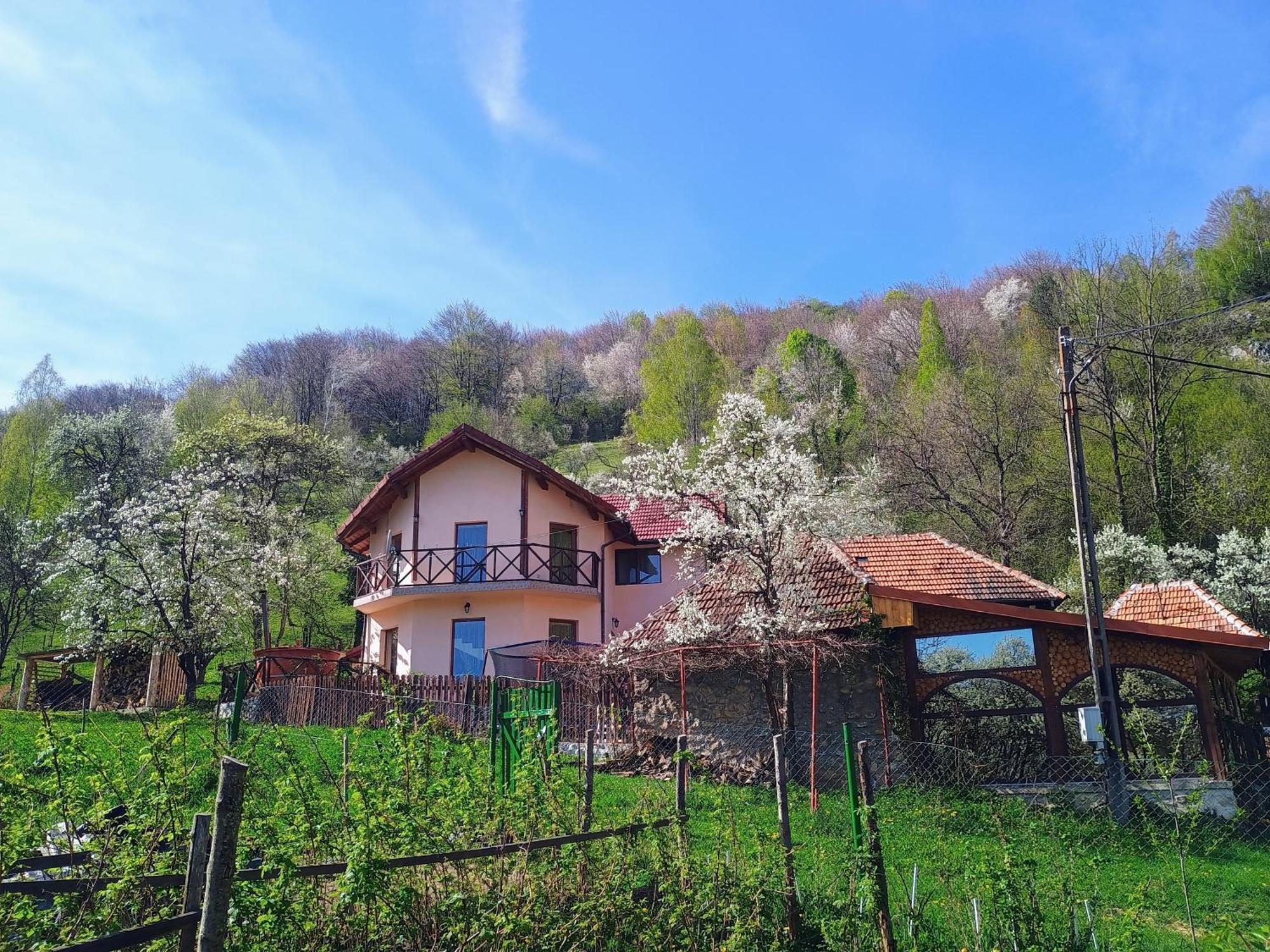 Agropensiune La cascada Sipot Merisor Esterno foto