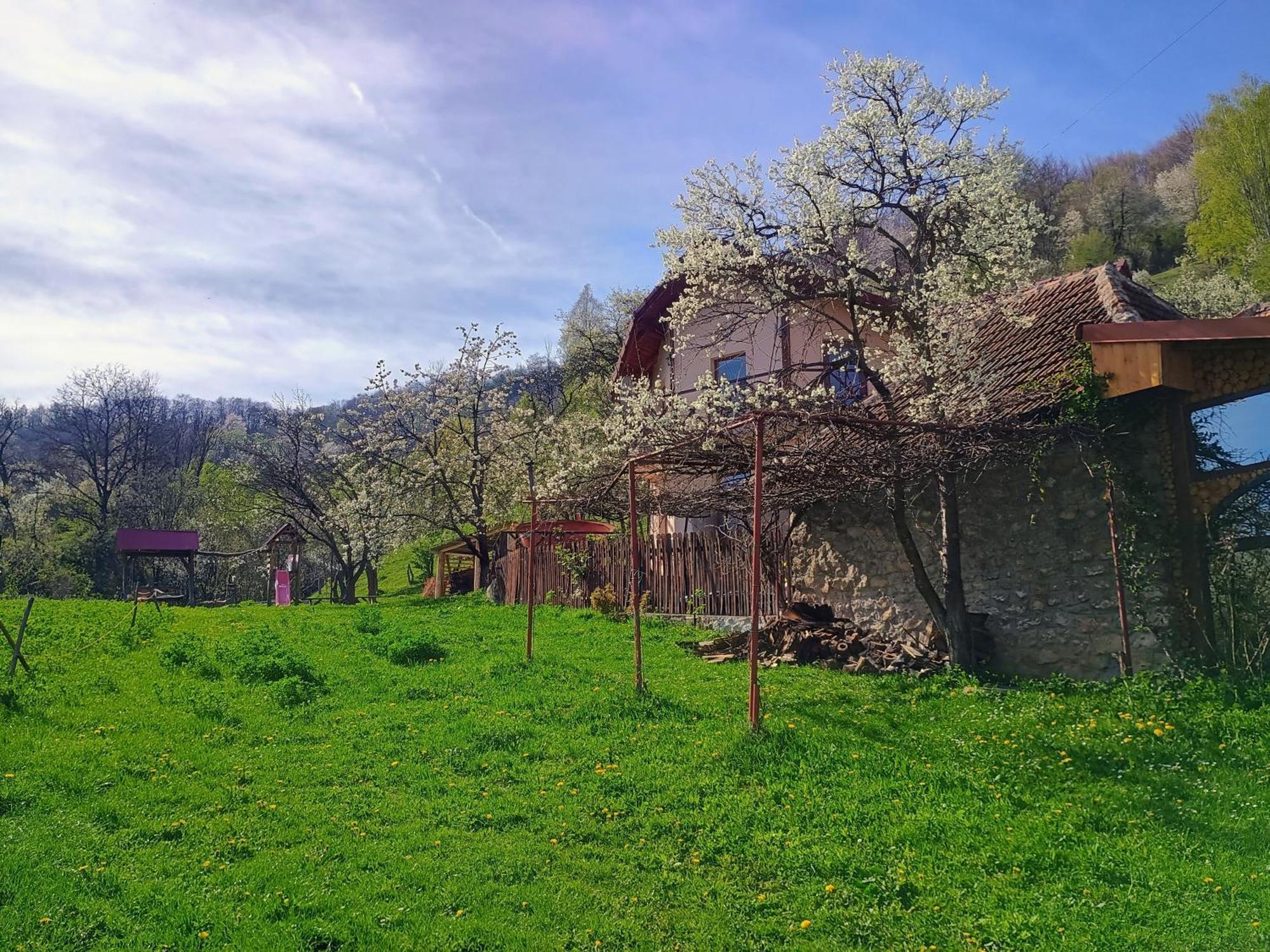 Agropensiune La cascada Sipot Merisor Esterno foto