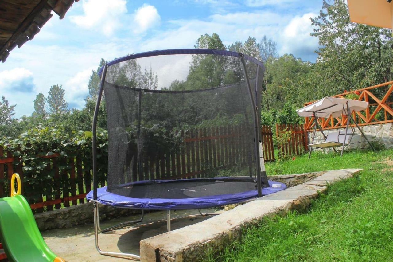 Agropensiune La cascada Sipot Merisor Esterno foto