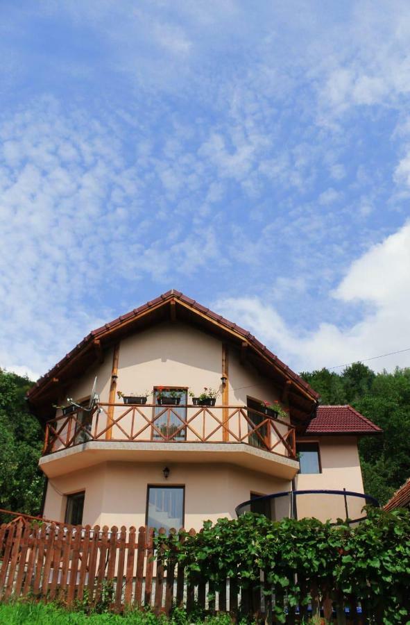 Agropensiune La cascada Sipot Merisor Esterno foto